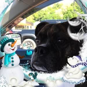 Meet your Posher, Linda